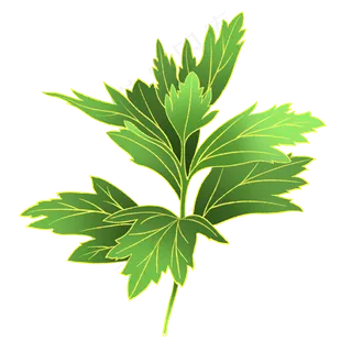 国潮风端午节植物艾草