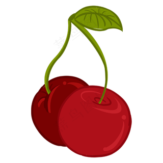 两个新鲜的红樱桃