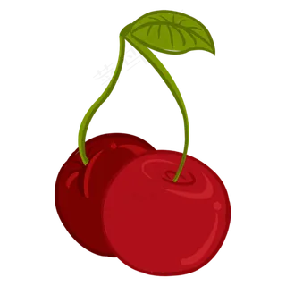 两个新鲜的红樱桃