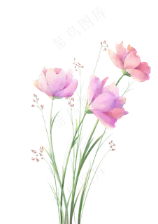 粉色花朵手绘水彩