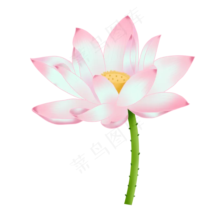 夏日荷花(2000X2000(DPI:299))psd模版下载