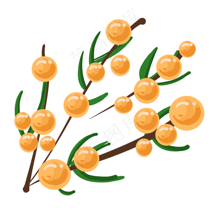 沙棘水果小吃(2000X2000(DPI:300))ai矢量模版下载