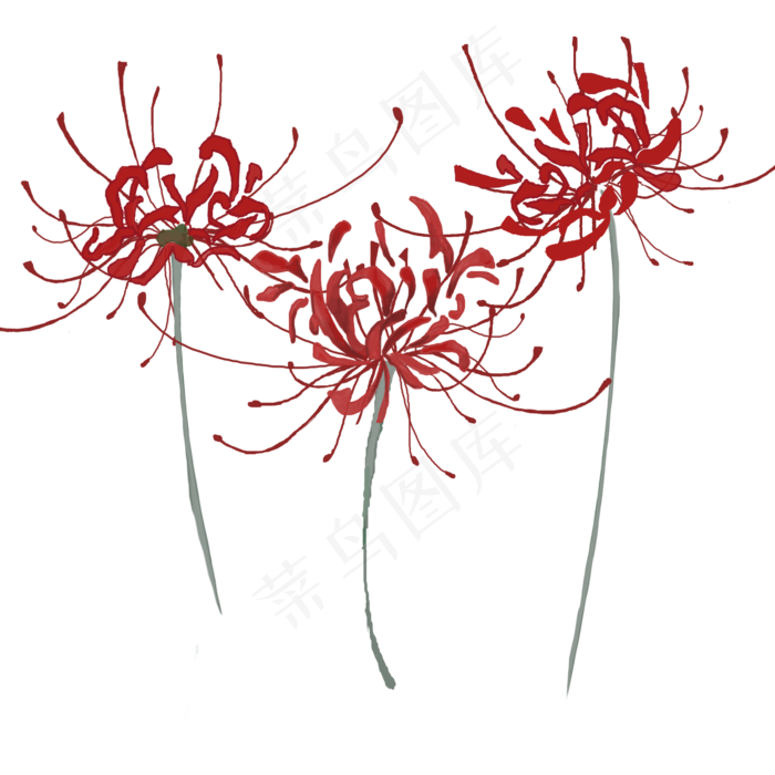红色古风手绘彼岸花花草