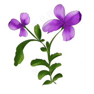 紫色花手绘装饰图案