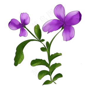 紫色花手绘装饰图案