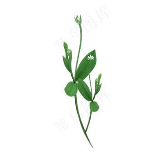 春天绿色白花纤细PNG白色春日绿植,免抠元素