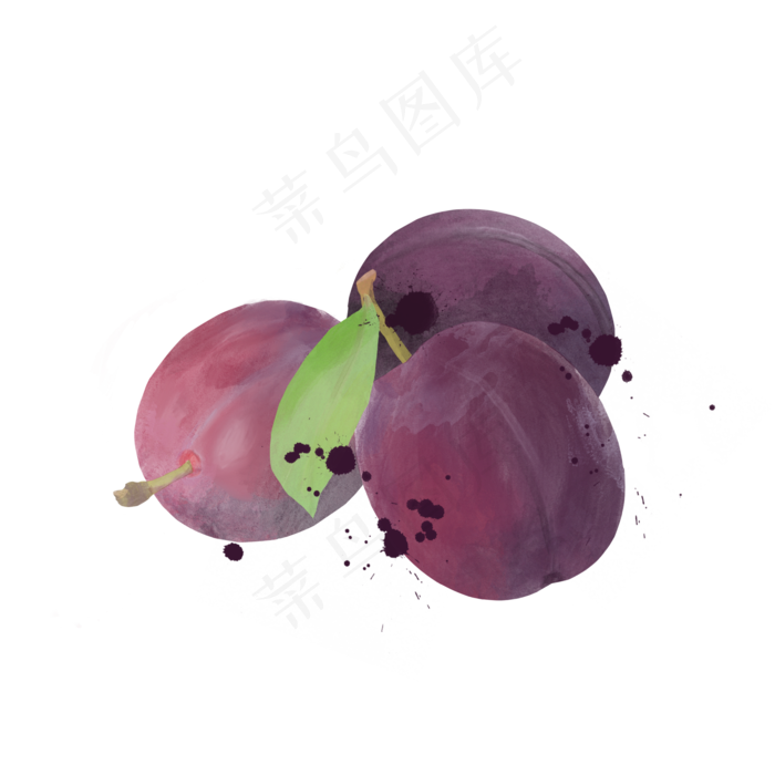 水彩风格水果红心李子