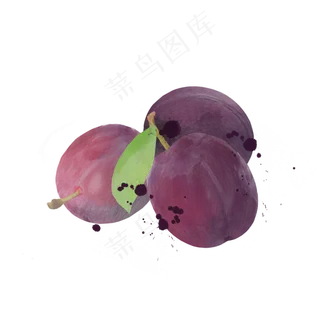 水彩风格水果红心李子