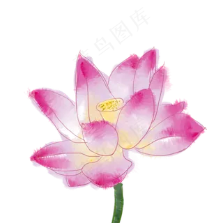 手绘水彩晕染水墨效果荷花