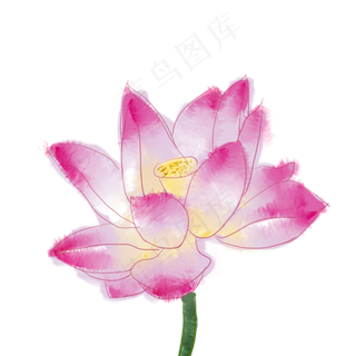 手绘水彩晕染水墨效果荷花