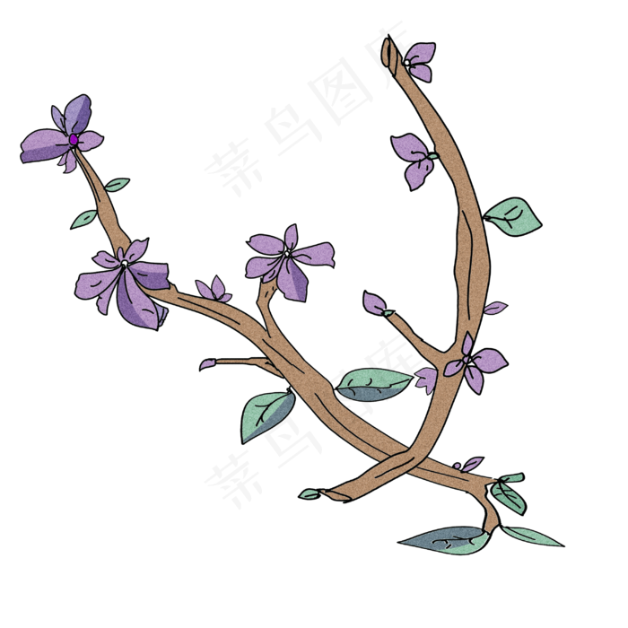 手绘紫色的枝条插画