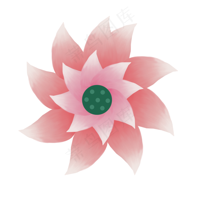 荷花通用词粉色俯视荷花