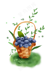 采摘篮子蓝莓