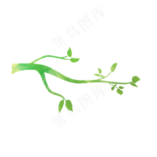 绿色春天树枝绿叶