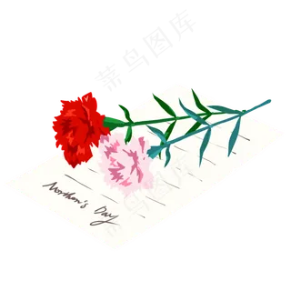 母亲节简约红粉色康乃馨与书信