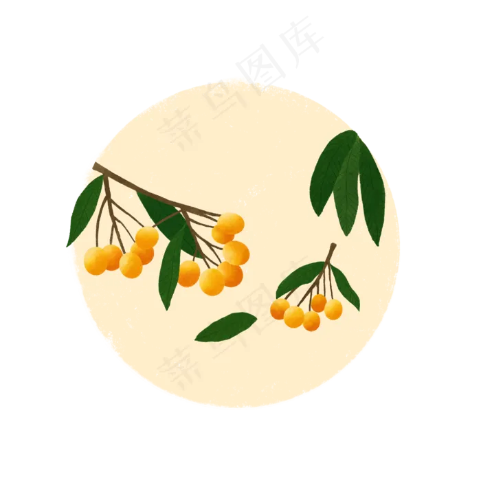 桂圆龙眼水果甜蜜鲜果PNG夏日(3000X3000(DPI:300))psd模版下载
