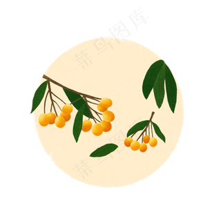 桂圆龙眼水果甜蜜鲜果PNG夏日