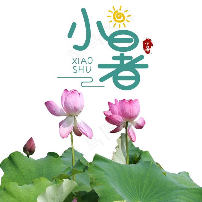 小暑绿色荷叶荷花(2000X2000(DPI:72))psd模版下载