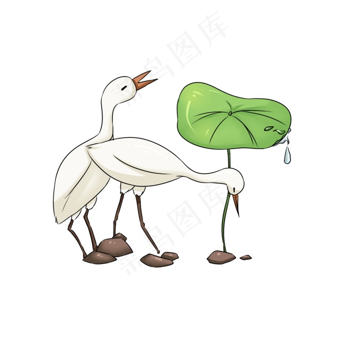 白露24节气滴露插画