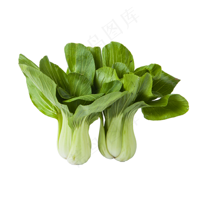 青菜（png免抠）