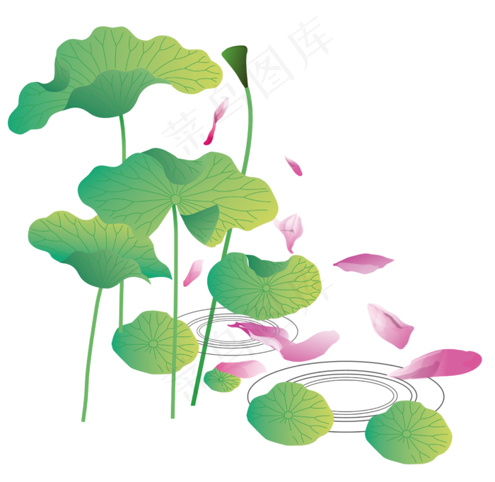 池塘里正在凋谢的荷花矢量图,免抠元素(2480*2416px 300 dpi )ai矢量模版下载