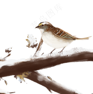 小雪主题树枝积雪与小鸟,免抠元素