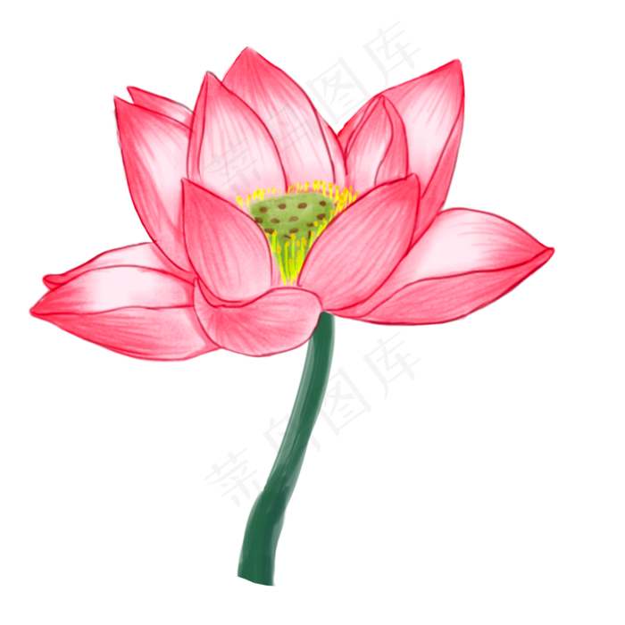 卡通红色的莲花免抠图