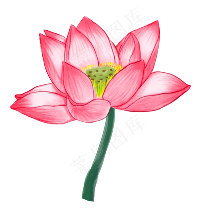 卡通红色的莲花免抠图(2000X2000(DPI:300))psd模版下载
