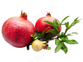 红皮石榴水果