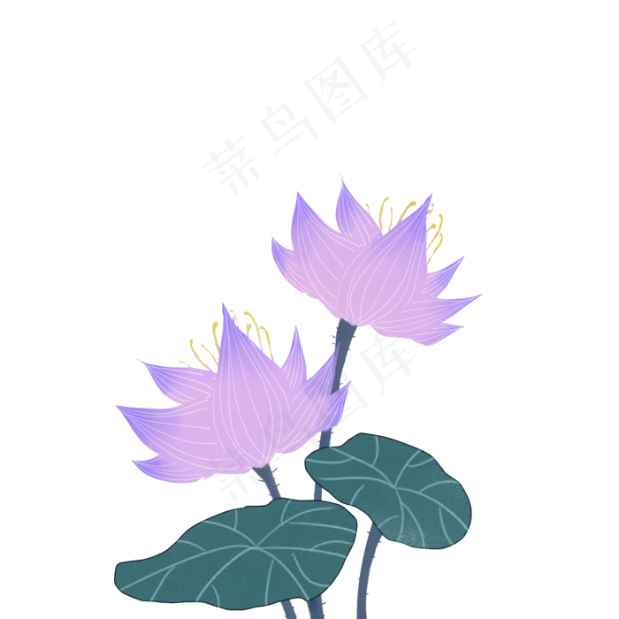 紫色并蒂荷花图案(2000X2000(DPI:299))psd模版下载