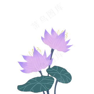 紫色并蒂荷花图案 紫色并蒂荷花图案