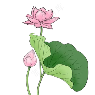 荷花荷叶手绘元素