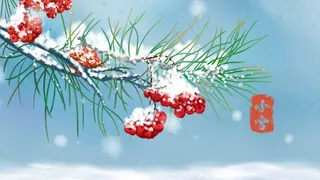 二十四节气之小雪