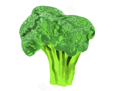 食材西蓝花卡通食物