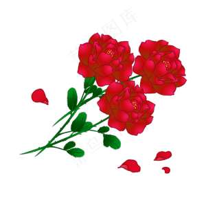 三枝玫瑰情人节浪漫告白花卉,免抠元素