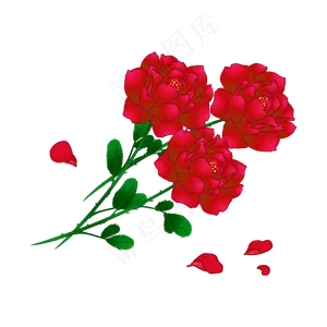 三枝玫瑰情人节浪漫告白花卉,免抠元素