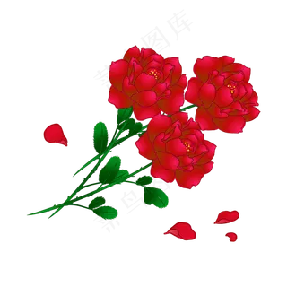 三枝玫瑰情人节浪漫告白花卉,免抠元素 三枝玫瑰情人节浪漫告白花卉,免抠元素