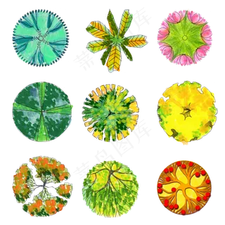 植物平面手绘设计 植物平面手绘设计