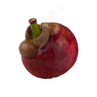 一个山竹（png免抠）