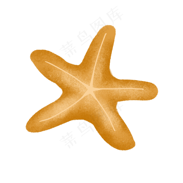 橙色的海星(2000X2000(DPI:300))psd模版下载