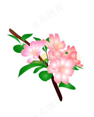 矢量免扣卡通海棠花