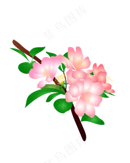 矢量免扣卡通海棠花 矢量免扣卡通海棠花