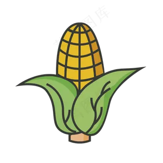 黄色玉米食物元素