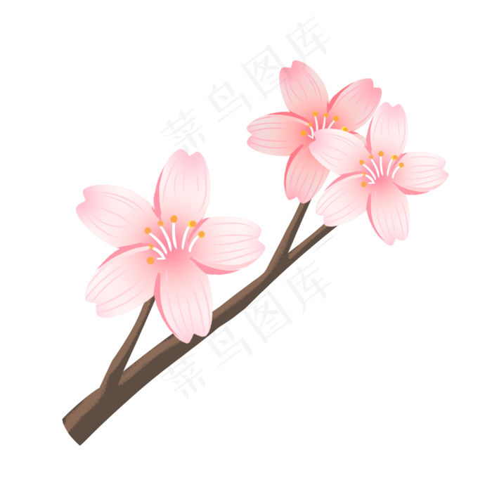浪漫樱花树枝插图(2000X2000(DPI:300))psd模版下载
