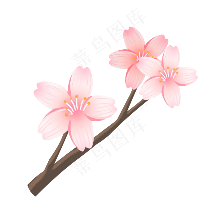 浪漫樱花树枝插图(2000X2000(DPI:300))psd模版下载