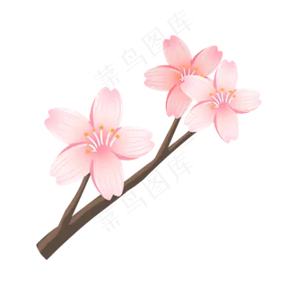 浪漫樱花树枝插图