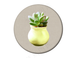 绿色文艺手绘青春小清新多肉装饰,免抠元素
