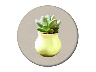 绿色文艺手绘青春小清新多肉装饰,免抠元素