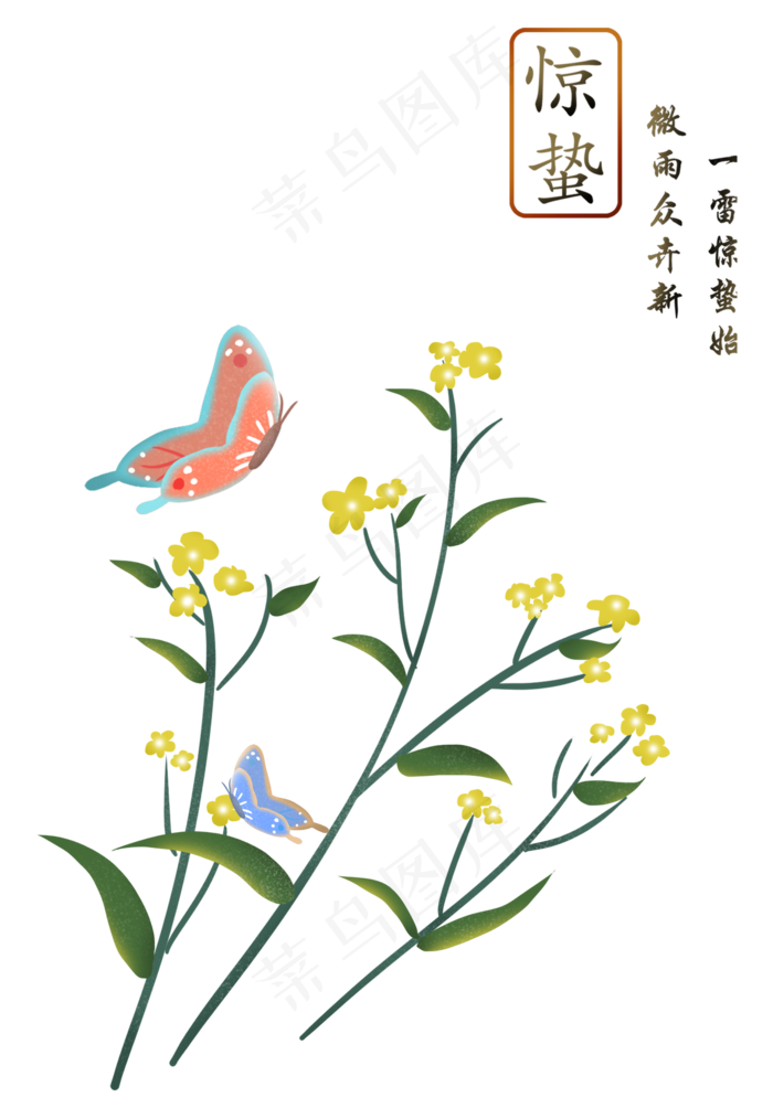 惊蛰春天二十四节气油菜花与蝴蝶,免抠元素