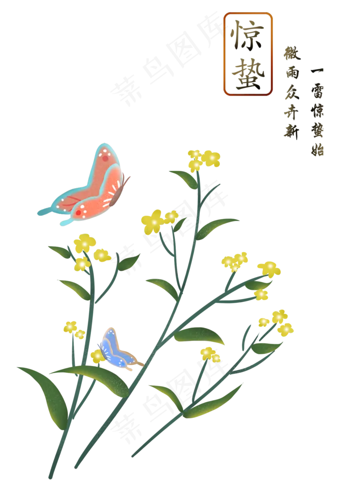 惊蛰春天二十四节气油菜花与蝴蝶,免抠元素(2113X3060(DPI:300))psd模版下载